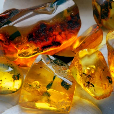 Amber Fragrance Oil