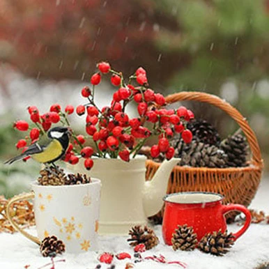 Berry Merry Christmas Fragrance Oil