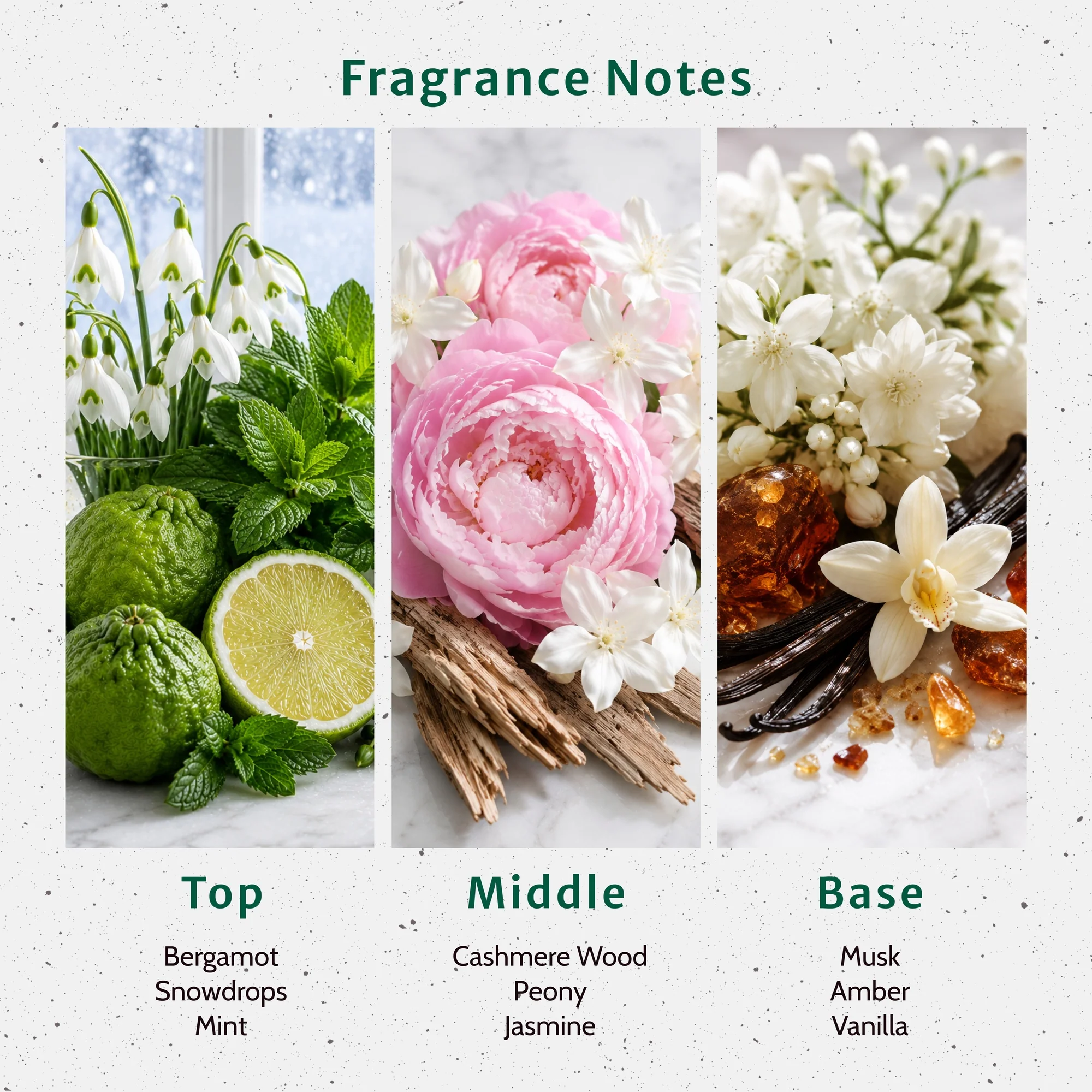 Cashmere Whispers Fragrance Oil - Image 2