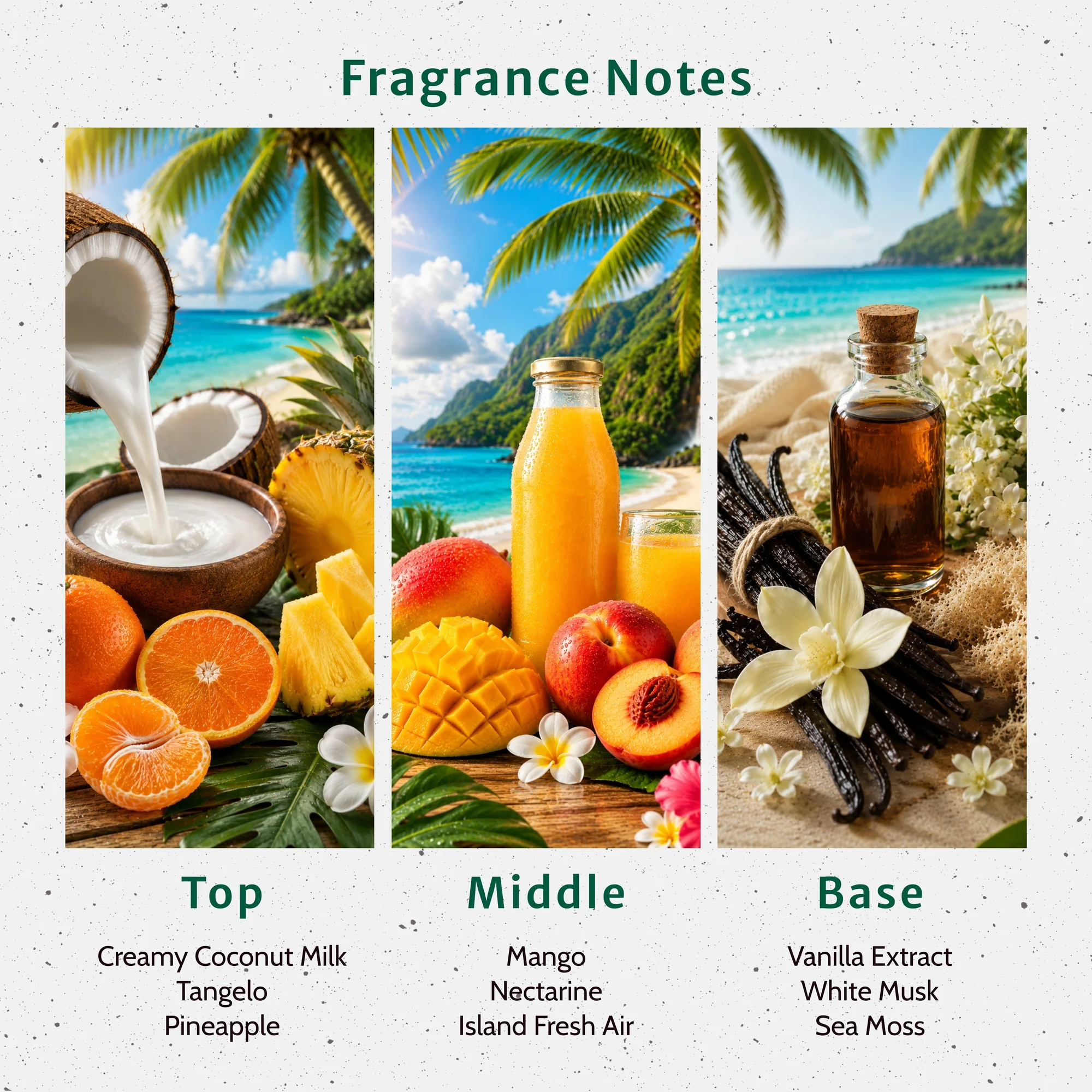 Coconut Coast Fragrance Oil - Image 2