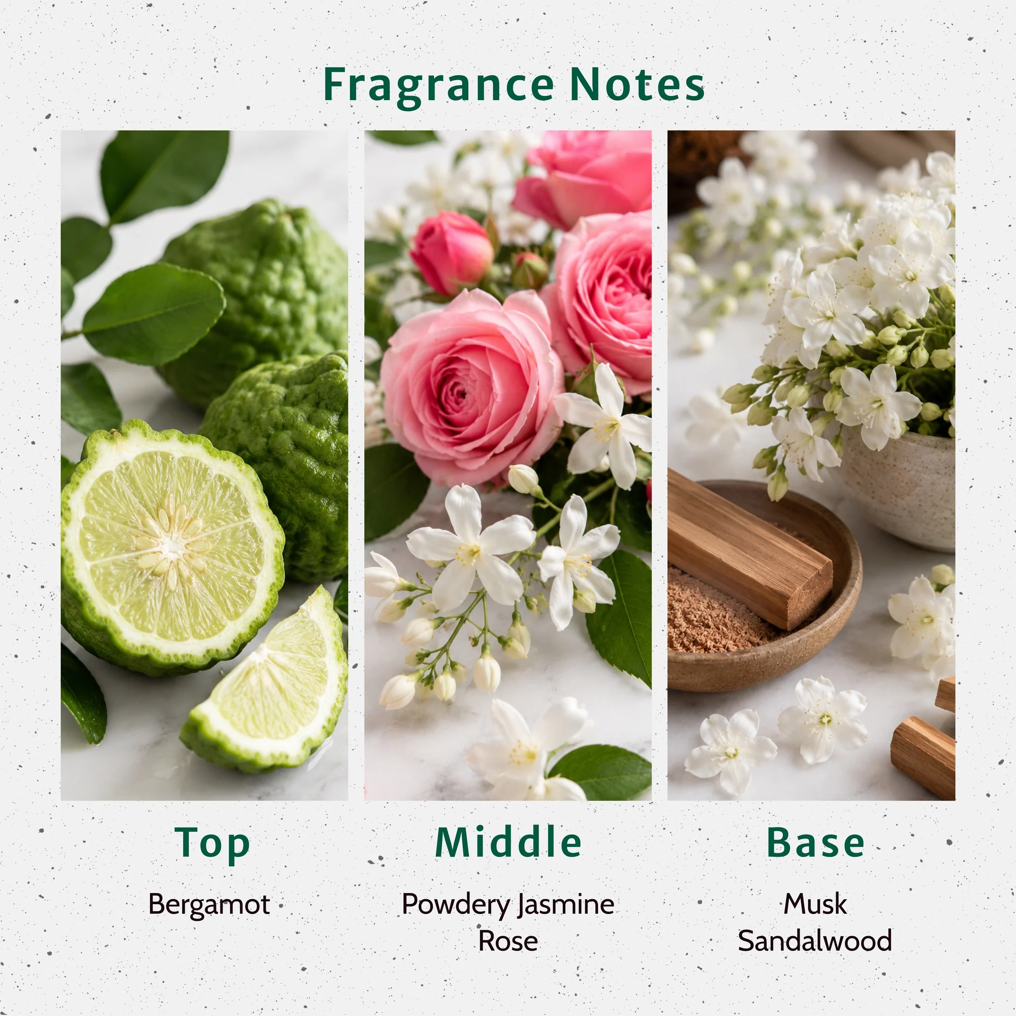 Egyptian Musk Fragrance Oil - Image 2
