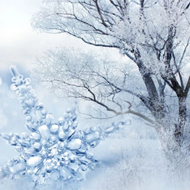 Frost & Snowdrops Fragrance Oil