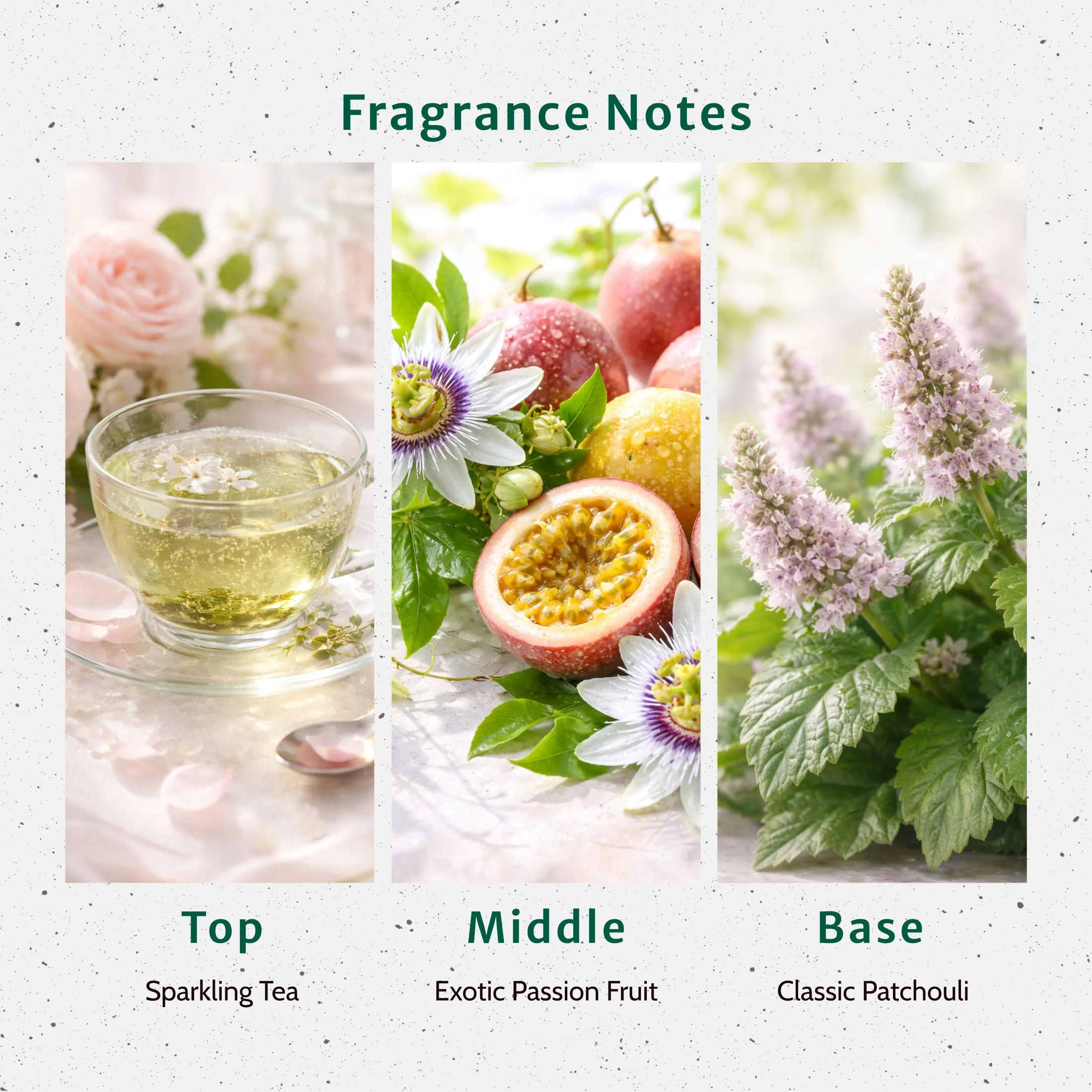 Giving Grace Fragrance Oil - Image 2