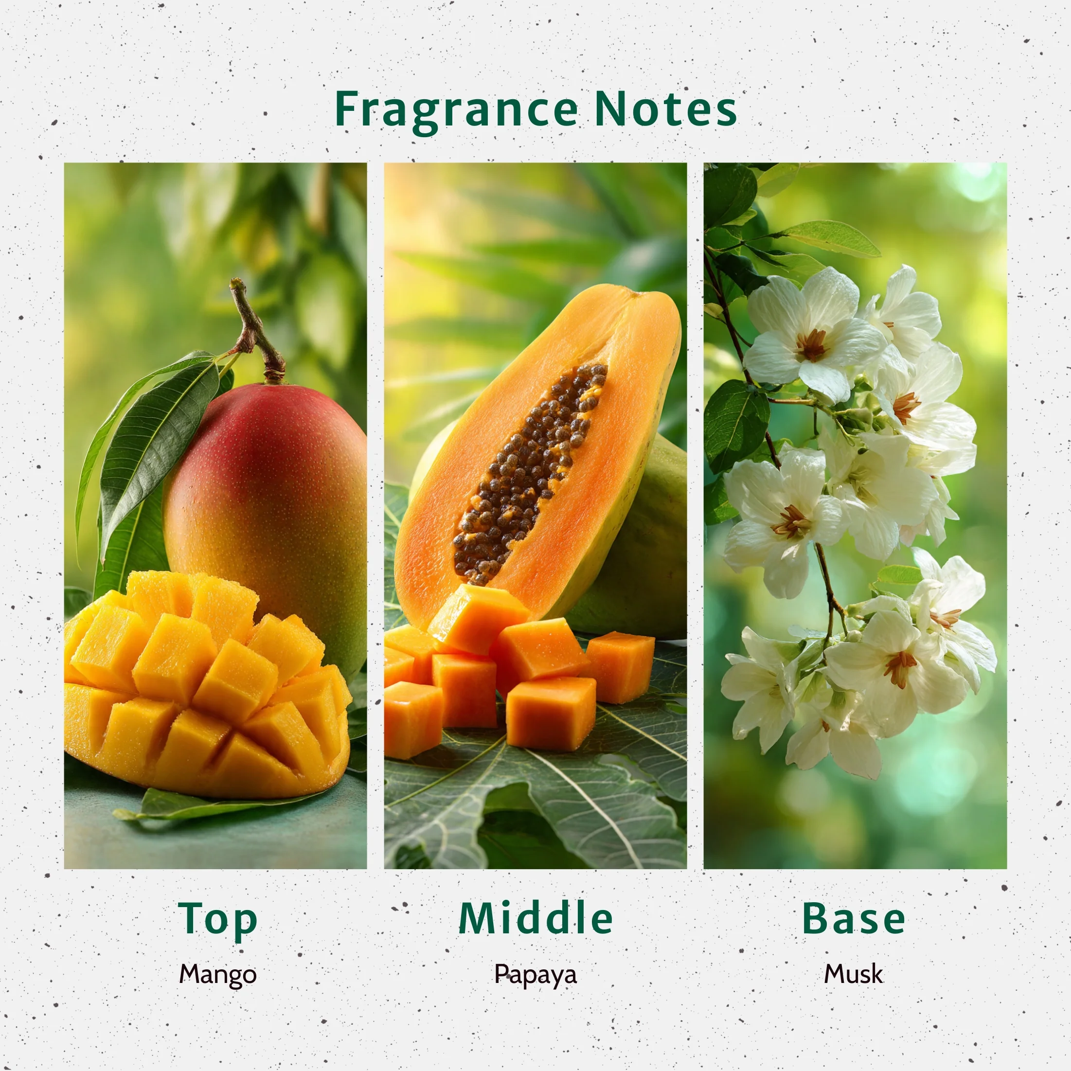 Mango Papaya Fragrance Oil - Image 2