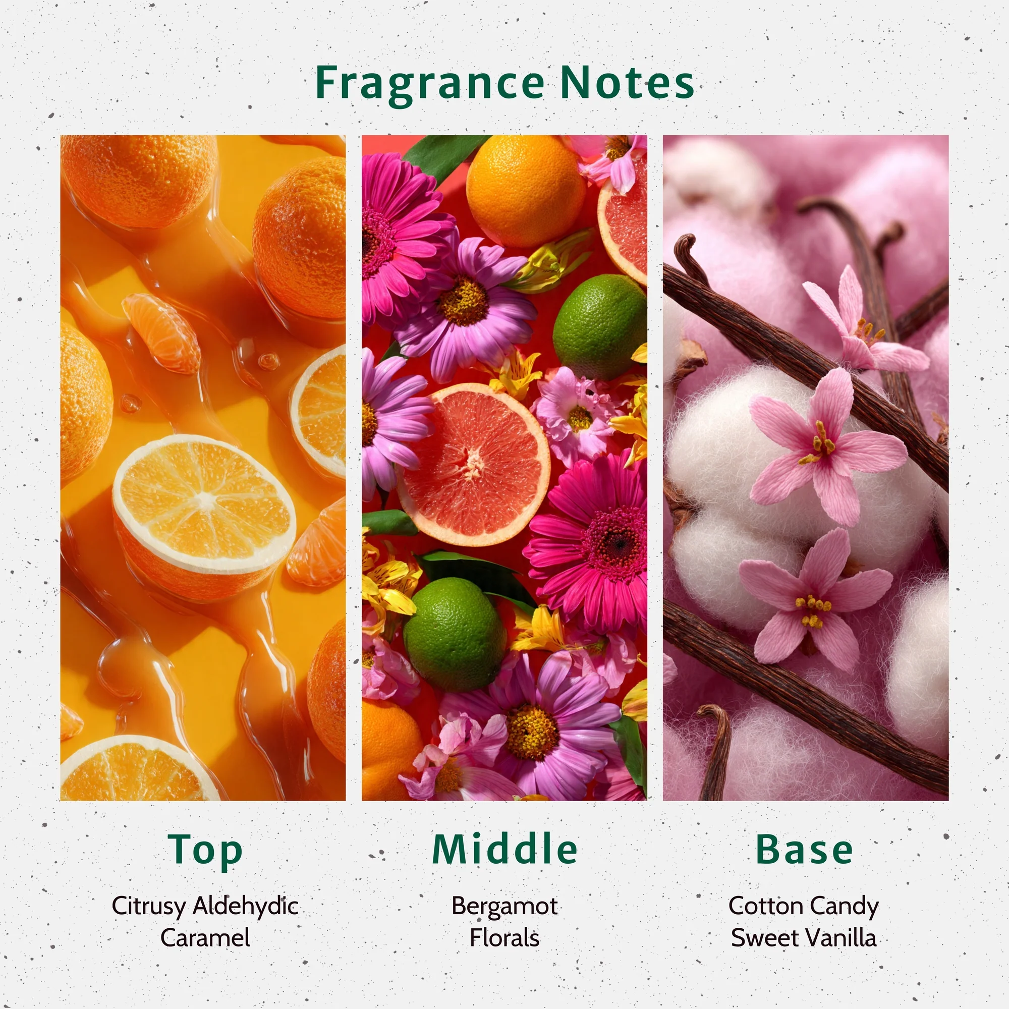 NG Fruity Pebbles Type Fragrance Oil - Image 2