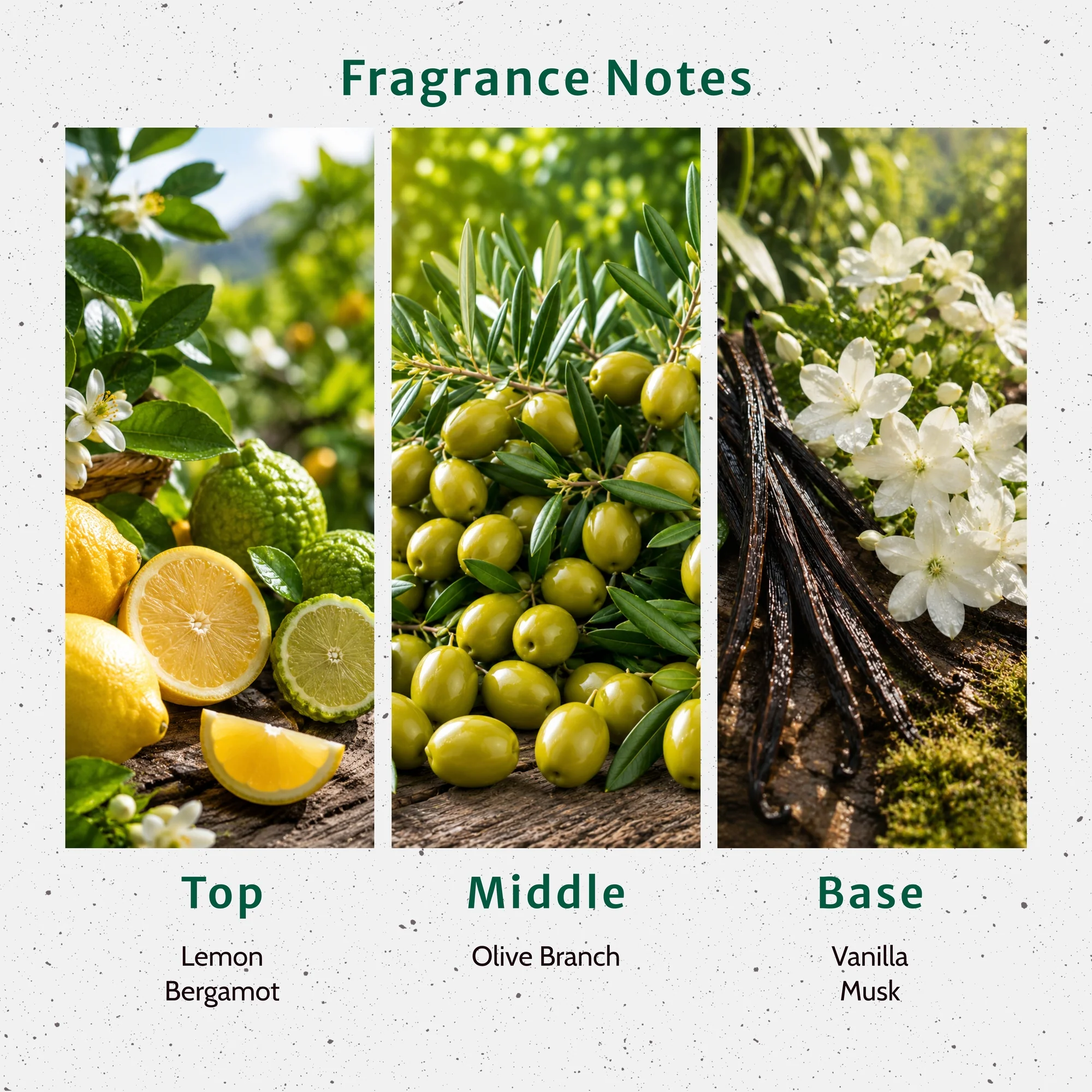 OMG Olive Fragrance Oil - Image 2