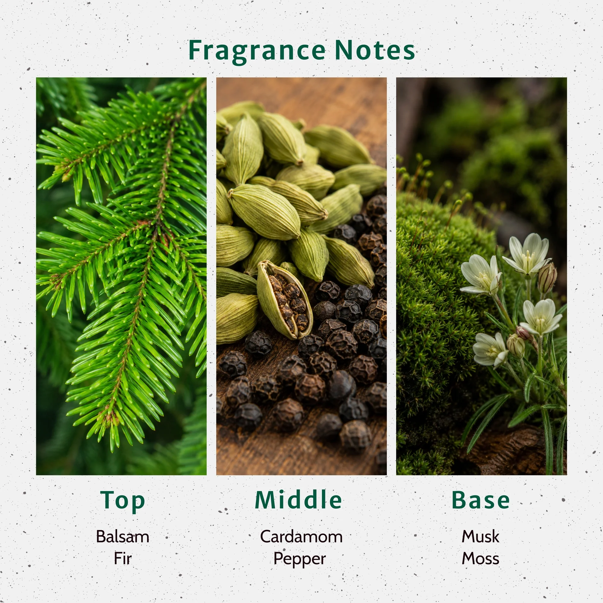 Pine Forest Fragrance Oil - Image 2