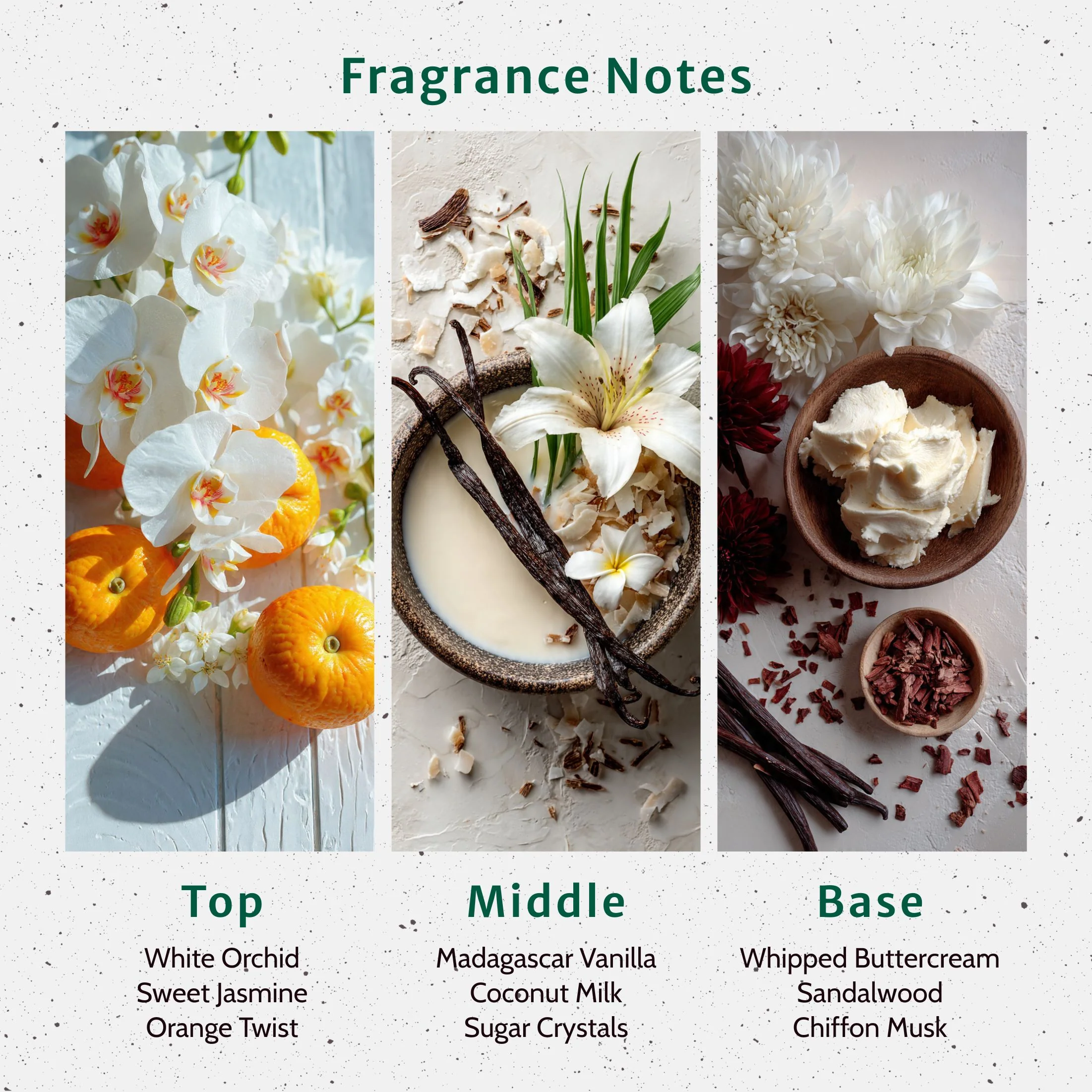 Smells Like Success Fragrance Oil - Image 2