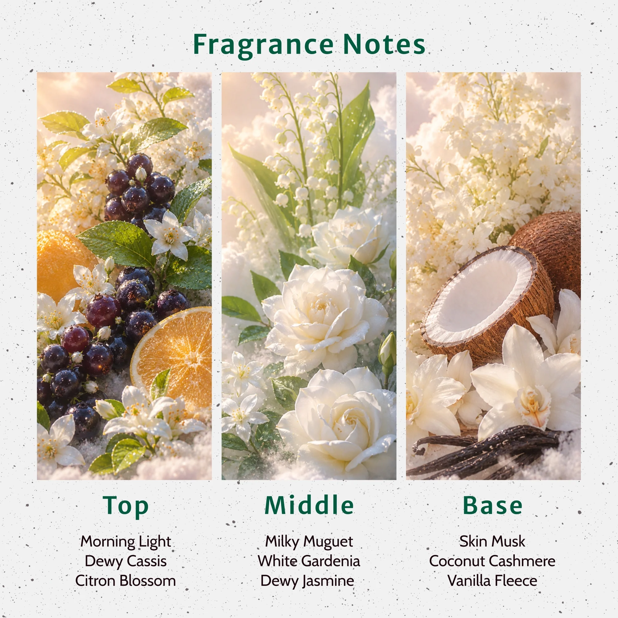Sugared Clouds Fragrance Oil - Image 2
