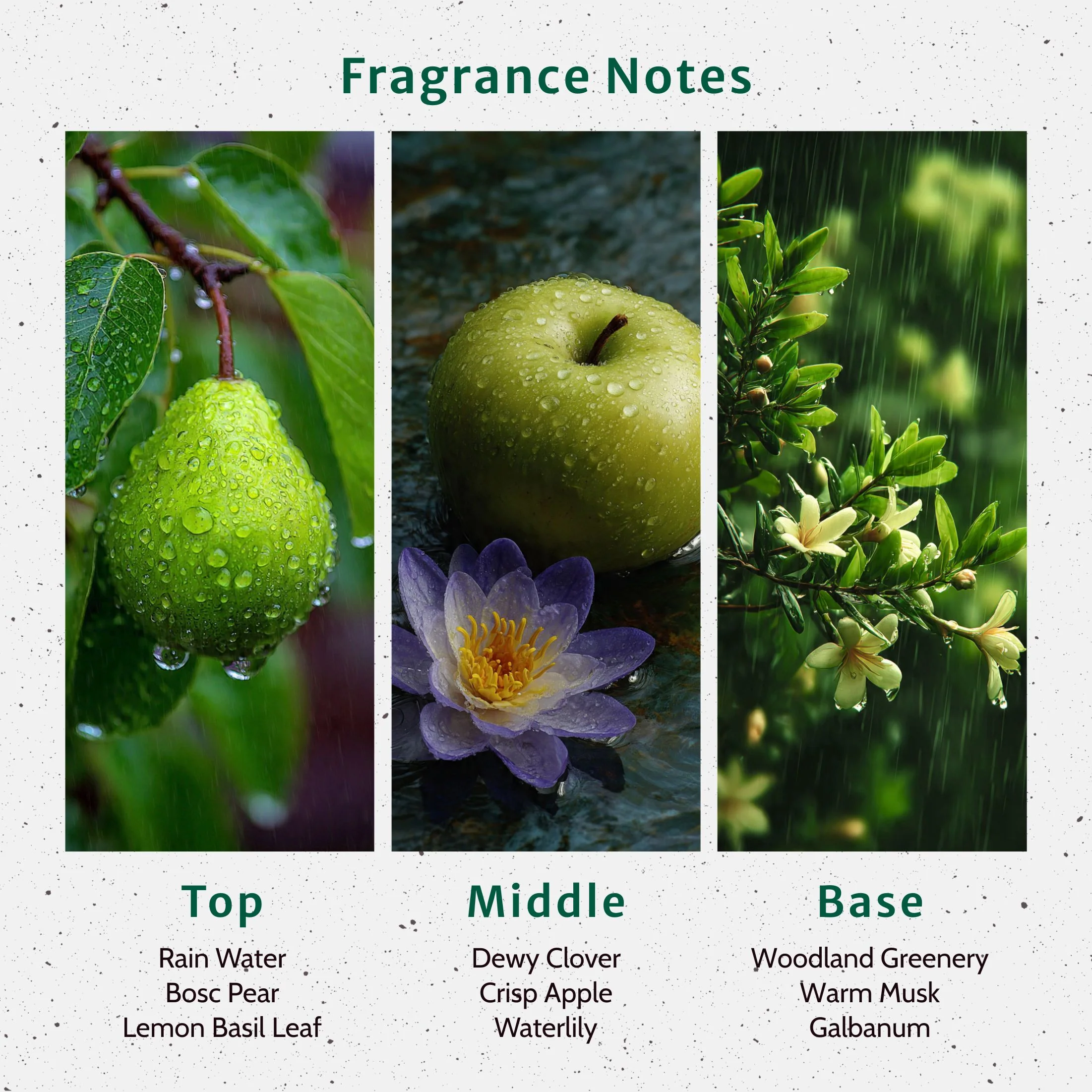 Turn a New Leaf Fragrance Oil - Image 2