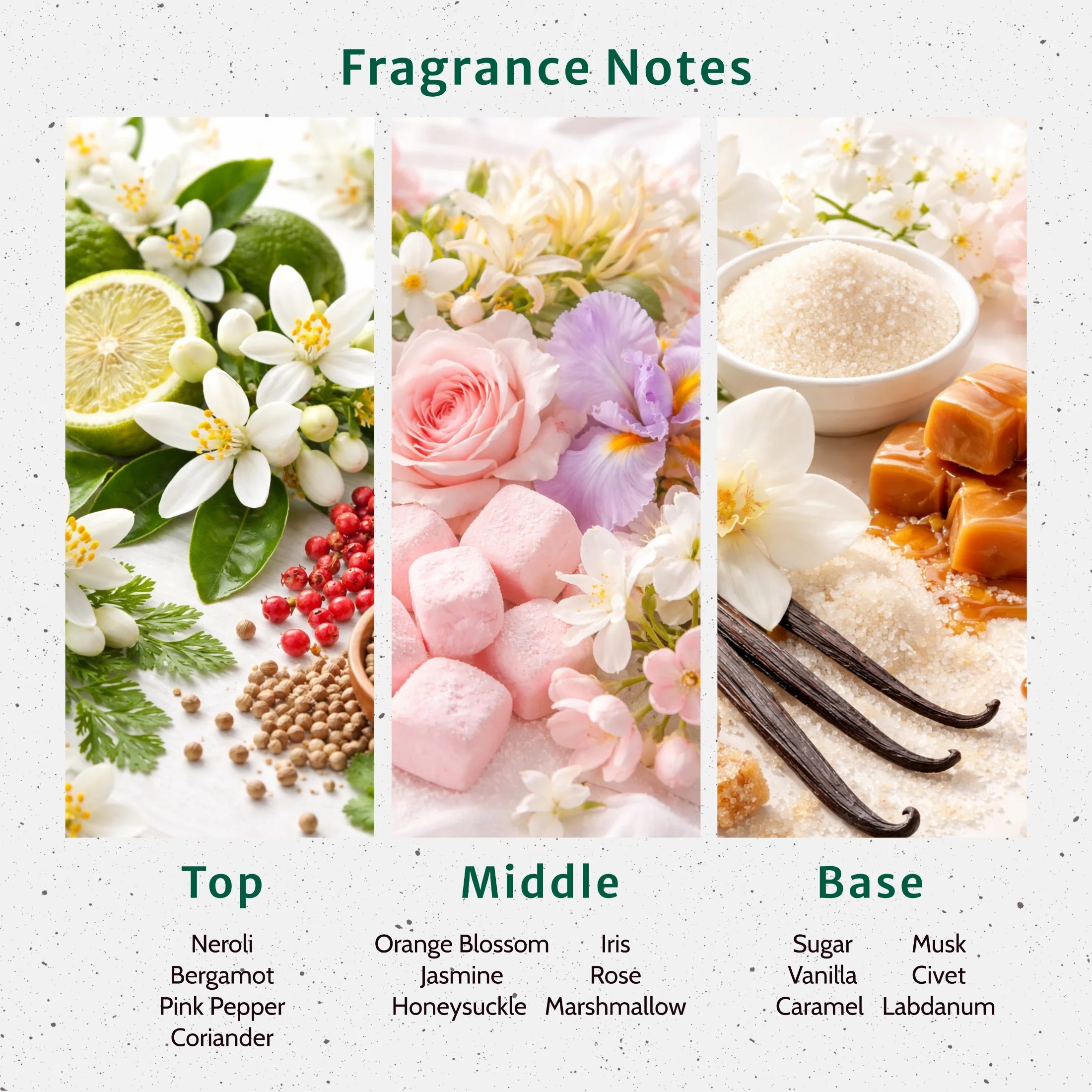 Whispering Muse Fragrance Oil - Image 2